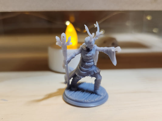 Druid dnd Mini